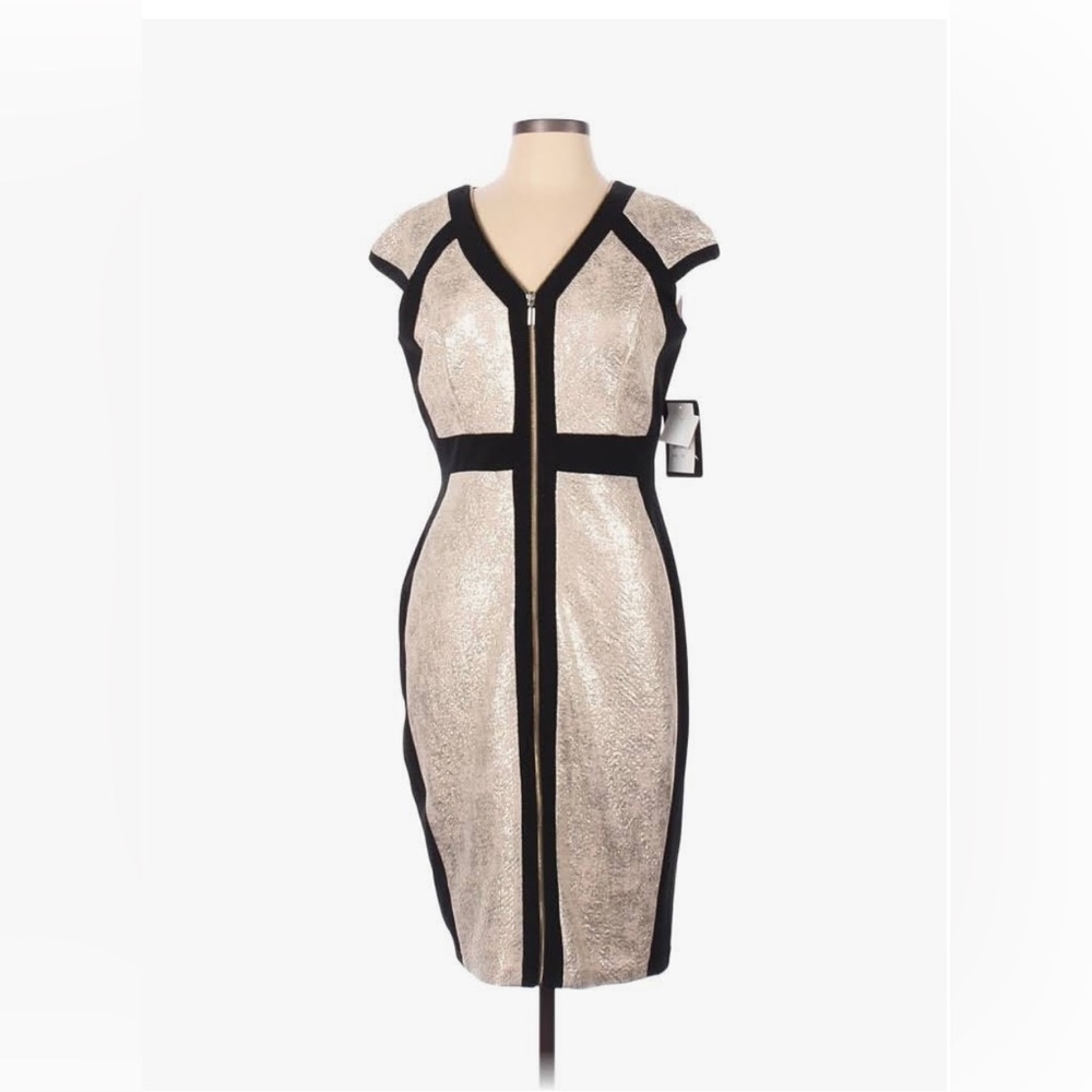 NWT Jax Sheath Dress